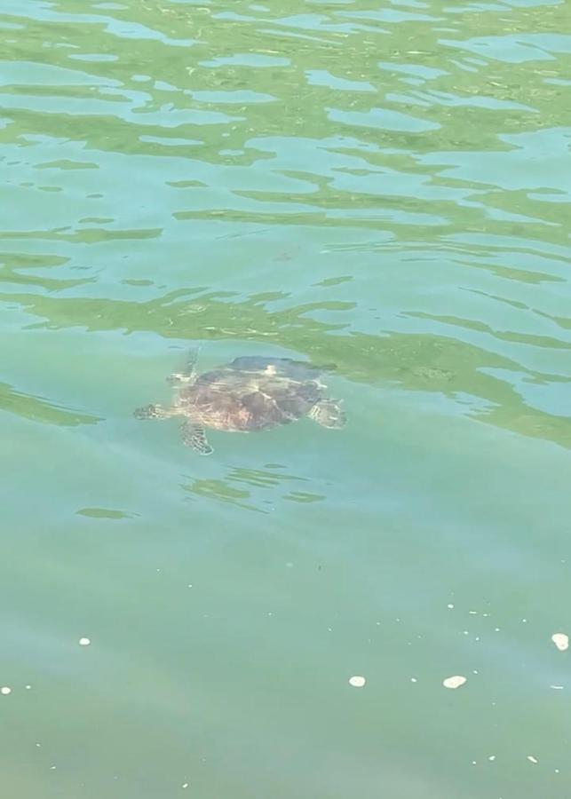 Gruta Da Sereia Suites Ubatuba Eksteriør billede